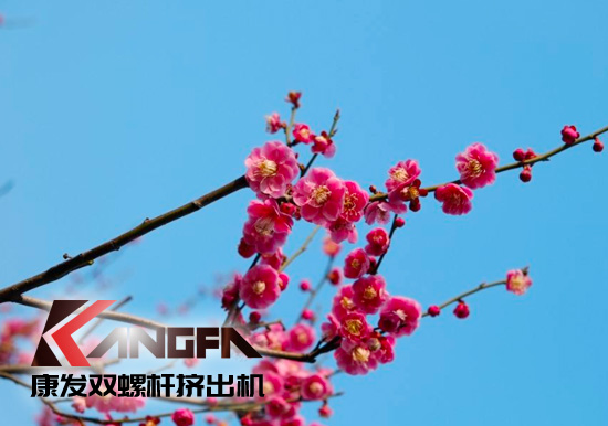 春光明媚,綠意盎然！康發(fā)雙螺桿擠出機(jī)組集中發(fā)貨 