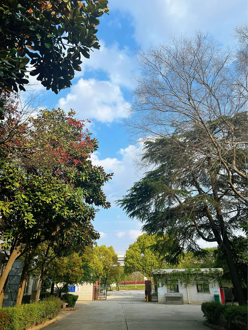 極致的康發(fā)雙螺桿擠出機工匠精神，支撐著在追逐夢想的旅程中穩(wěn)步邁進。