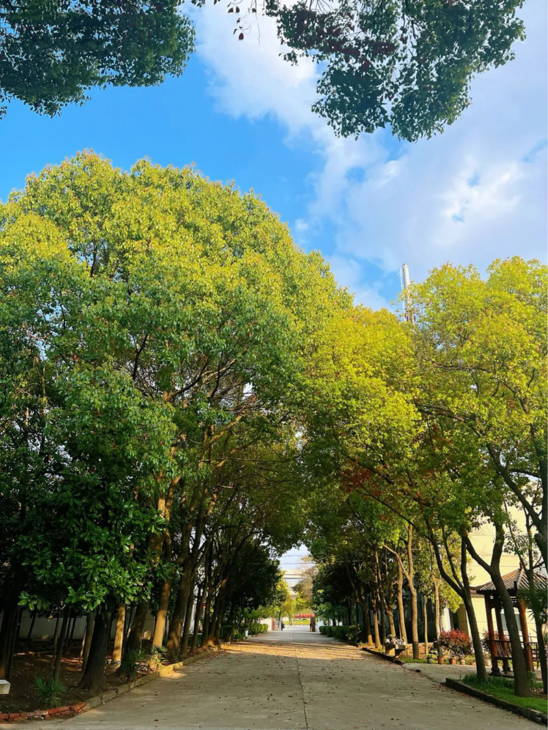 極致的康發(fā)雙螺桿擠出機工匠精神，支撐著在追逐夢想的旅程中穩(wěn)步邁進。