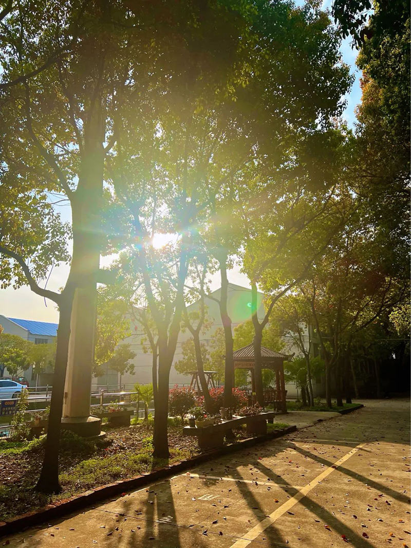 極致的康發(fā)雙螺桿擠出機工匠精神，支撐著在追逐夢想的旅程中穩(wěn)步邁進。