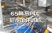 65高扭+PLC，尼龍加纖雙螺桿擠出機試機